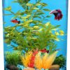 Koller 3-Gallon 360 Aquarium with LED Lighting and Power Filter