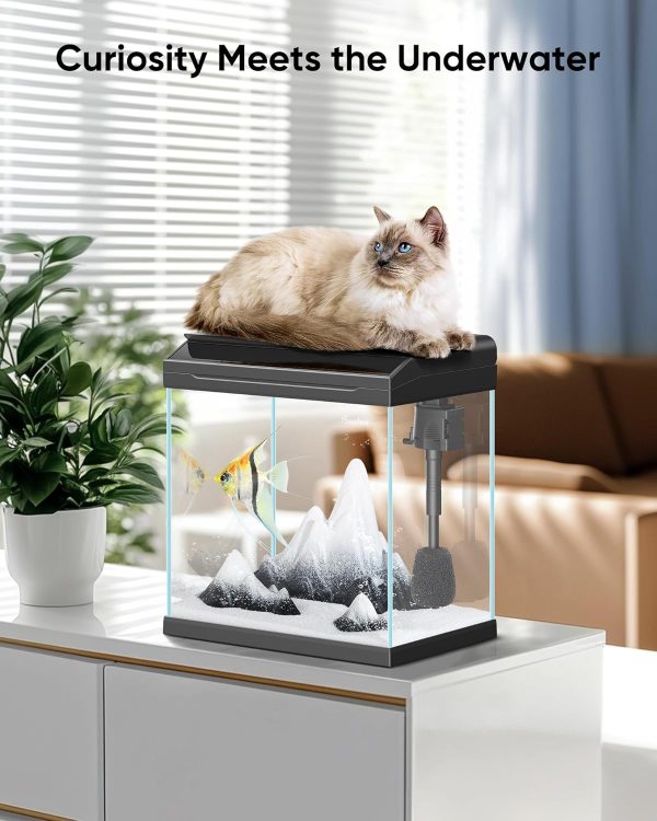 PONDON 7 Gallon Fish Tank with Detachable Lid Starter Kit