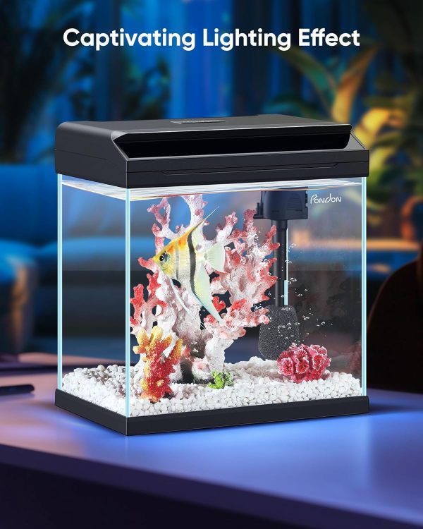 PONDON 7 Gallon Fish Tank with Detachable Lid Starter Kit
