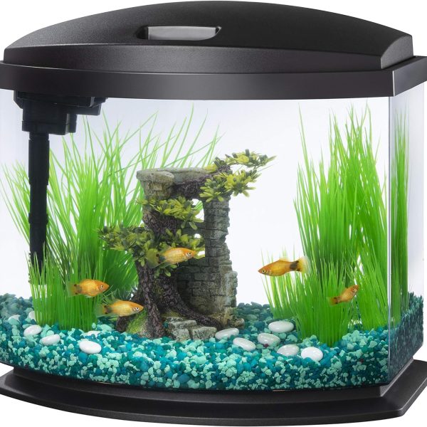 5 Gallon Black Aqueon LED MiniBow Small Aquarium Fish Tank Kit with SmartClean Technology
