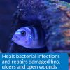 API MELAFIX Freshwater Fish Bacterial Infection Remedy & Wound Healer