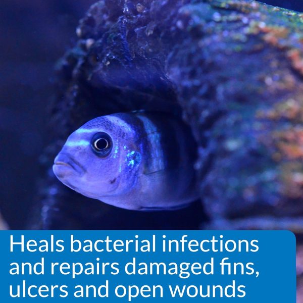 API MELAFIX Freshwater Fish Bacterial Infection Remedy & Wound Healer