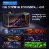 Smart Aquarium 5G Starter Kit: Self-Cleaning, 7-Color LED, Auto Feeder, APP Control