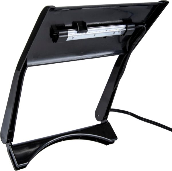 Marineland Portrait Glass LED Aquarium Kit, 5 Gallons, Hidden Filtration