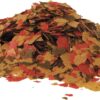 Tetra ColorPlus Tropical Fish Food Flakes 7.06 oz – High-Protein Color Enhancer for Vibrant Aquarium Fish