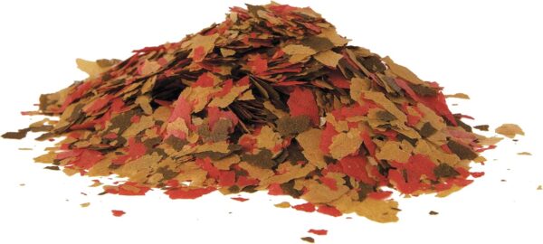 Tetra ColorPlus Tropical Fish Food Flakes 7.06 oz – High-Protein Color Enhancer for Vibrant Aquarium Fish