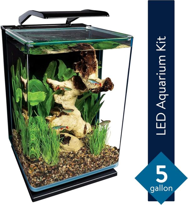 Marineland Portrait Glass LED Aquarium Kit, 5 Gallons, Hidden Filtration,Black