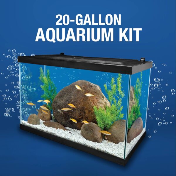 Tetra 20-Gallon Complete Glass Aquarium Kit w/ LED Light & Whisper Filter