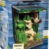 Marineland Portrait Glass LED Aquarium Kit, 5 Gallons, Hidden Filtration