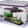 81ajUMFSXL._AC_SL1500_.jpg Aqueon 10 Gallon LED Fish Tank Starter Kit with QuietFlow Filter