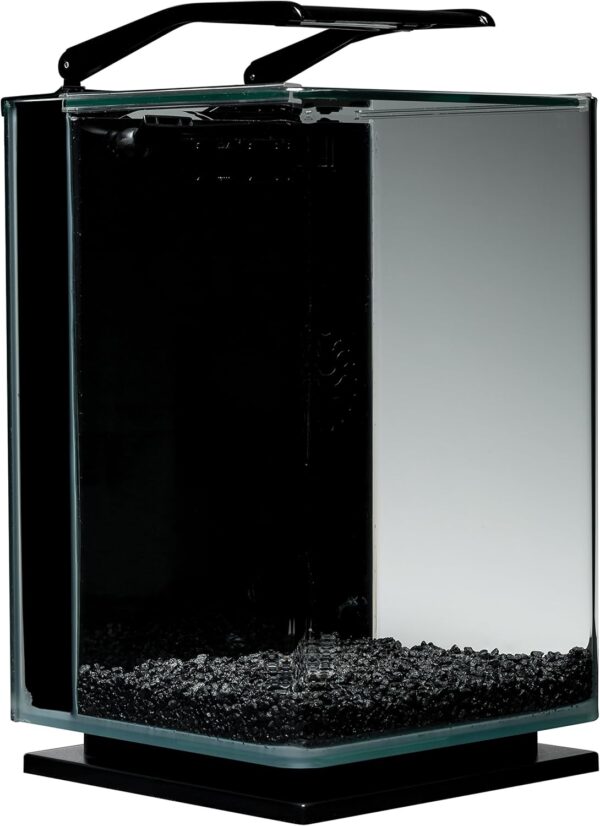 fish tank filled with sands