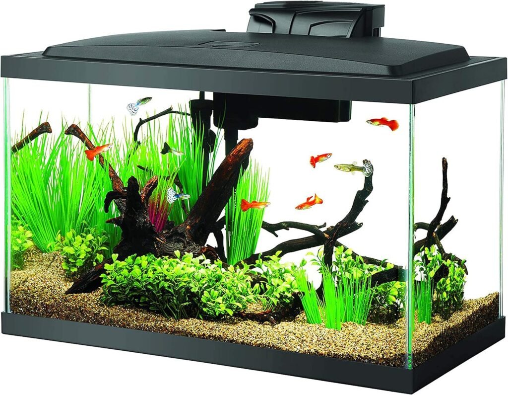 Aqueon 10 Gallon LED Fish Tank Starter Kit with QuietFlow Filter