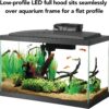 91e1KNcxbML._AC_SL1500_.jpg Aqueon 10 Gallon LED Fish Tank Starter Kit with QuietFlow Filter