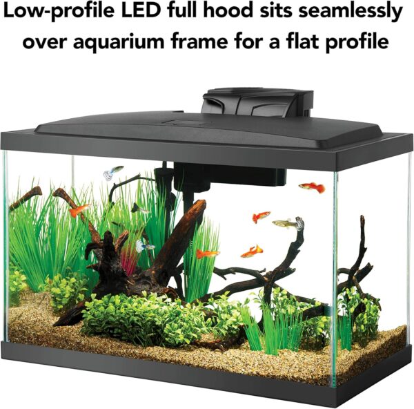 91e1KNcxbML._AC_SL1500_.jpg Aqueon 10 Gallon LED Fish Tank Starter Kit with QuietFlow Filter