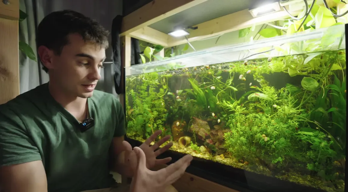 low tech tank set up