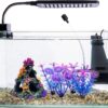 Vibrant Coral Reef Fish Tank Decorations - Safe Resin Mountain with Aquatic Plants