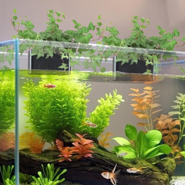 2-Pack Aquarium Plant Holder – Top-Hanging Planter Cups for Fish Tank Decoration