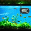 AQUANEAT Digital Aquarium Thermometer, Large-LCD Fish Tank Temp Sensor