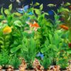 PietyPet 10-Pack Lifelike Green Plastic Aquarium Plants Instant Fresh/Saltwater Décor for 5–20 gal Tanks