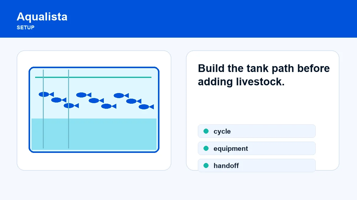 Budget-Friendly Aquarium Setup: A Beginner’s Guide to High-Value Equipment
